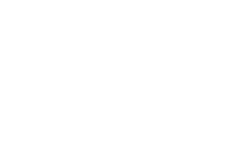 Vijaya Elevators